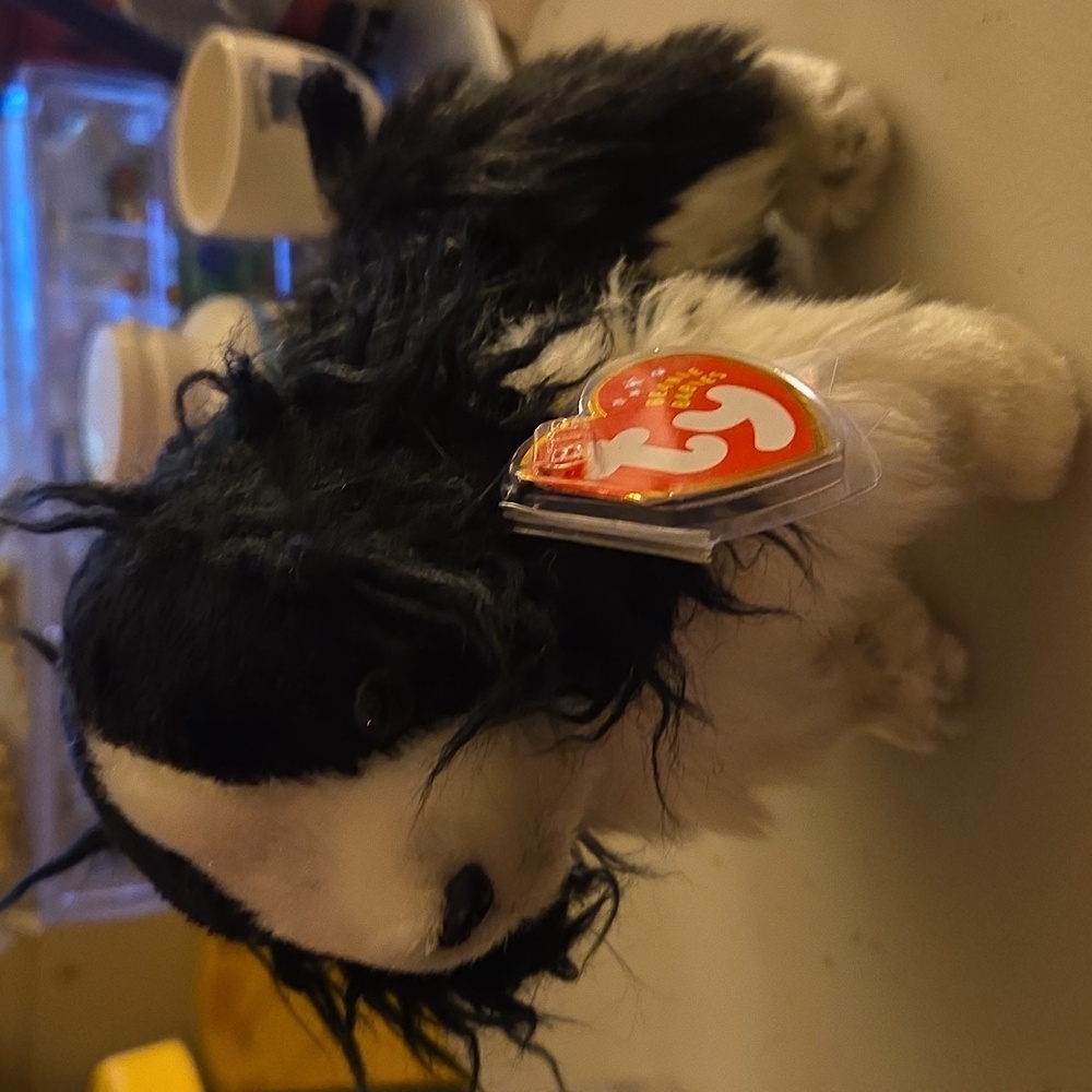 AVAILABLE- Ty 2001 Beanie Baby    "Frolic" black & white Springer Spaniel dog.7"